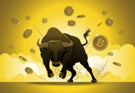 What the Next Crypto Bull Run Might Look Like