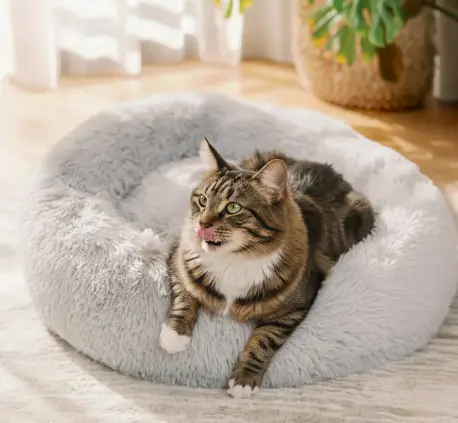 Best Calming Bed for Cats: Create a Cozy and Stress Free Space for Your Feline